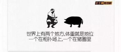 娱乐吃瓜文案图片搞笑版,笑料横生！娱乐吃瓜界的搞笑瞬间大盘点